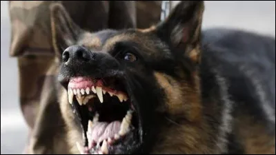 On aurait bien besoin de lui en ces temps troublés !