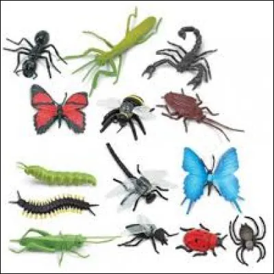 La trypophobie est la peur des insectes.