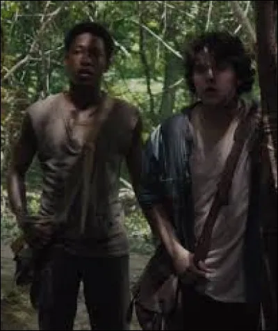 Qu’est-ce qu’un « Medjacks » ?