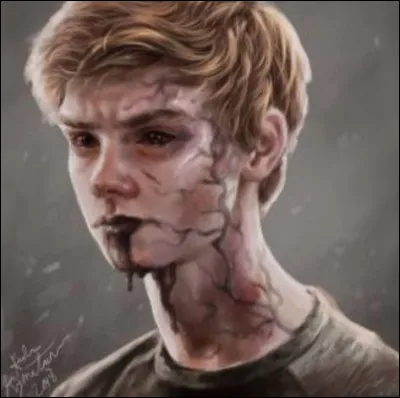 Qu'est-ce qu'un « fondu » ?