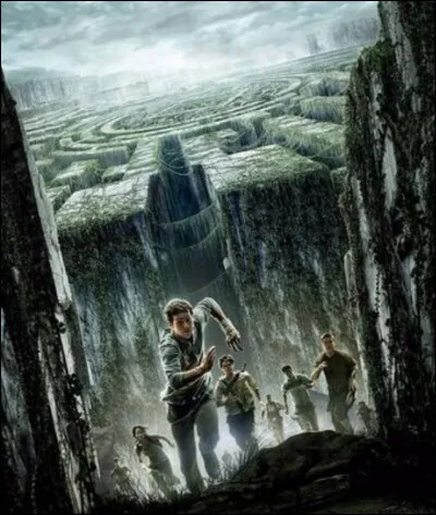 Qu’est-ce qu’un « Immune » ?