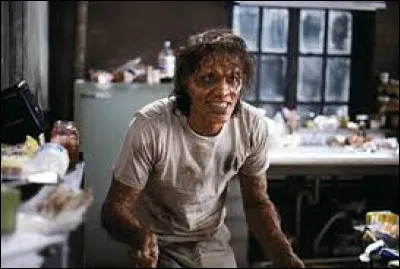 Quel est le titre de ce film de David Cronenberg ?