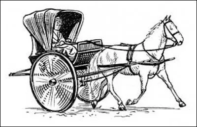 On appelait ce véhicule hippomobile privé, destiné à une ou deux personnes, la :