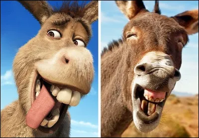 Référez-vous aux images !