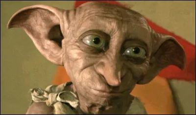 TOP 6 : Dobby : Qui lui fabriquait des bonnets, des écharpes et des chaussettes ?