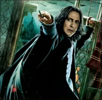 TOP 4 : Severus Rogue : De qui a-t-il toujours été amoureux ?