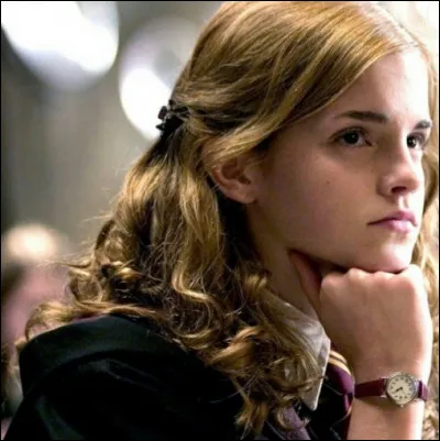 TOP 2 : Hermione Granger : Quel objet lui a légué Dumbledore ?