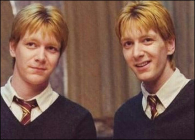 TOP 15 : Fred et George Weasley : Les jumeaux n'ont pas...