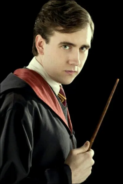 TOP 9 : Neville Londubat : Que représente l'Épouvantard de Neville ?