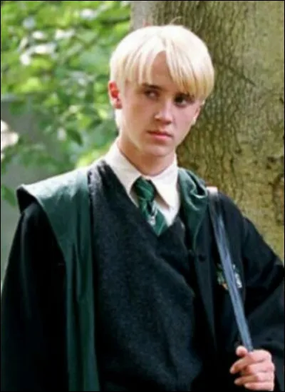 TOP 7 : Drago Malefoy : Quel elfe lui appartenait ?
