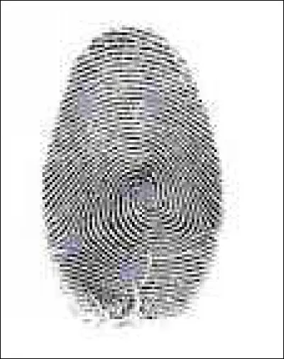 Le ... a les mêmes empreintes digitales que l'homme !