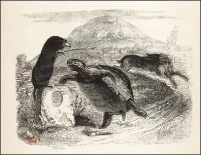 Le Lapin et la Tortue, est-ce une Fable de La Fontaine ?