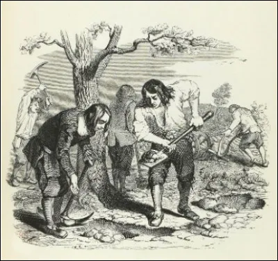 Le Cultivateur et ses Enfants, est-ce une Fable de La Fontaine ?