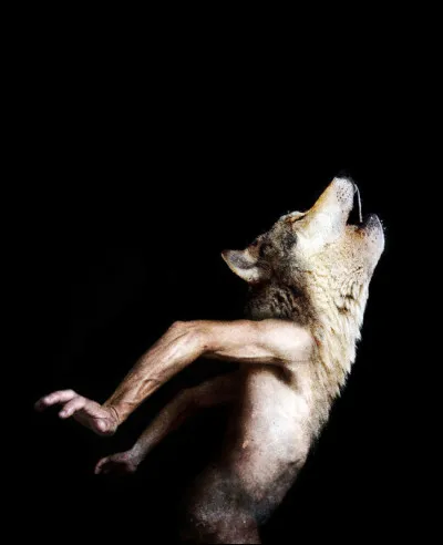 Ce roi d'Arcadie s'adonnait &agrave; l'anthropophagie, Zeus le foudroya en le changeant en loup. Qui est-il ?