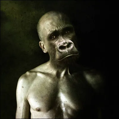 Habitants de l'&icirc;le de Pith&eacute;cuse, pr&egrave;s de la Sicile, Zeus les m&eacute;tamorphosa, dit-on, en singe pour les punir de l'avoir raill&eacute;. Qui sont-ils ?