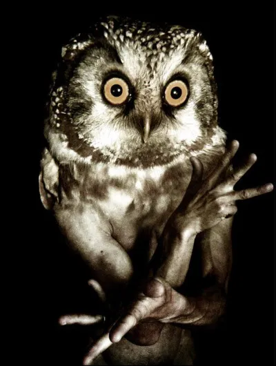 Cet intendant d'Had&egrave;s lui r&eacute;v&egrave;lera avoir vu Pers&eacute;phone cueillir une grenade et en manger quelques grains, sa m&egrave;re D&eacute;m&eacute;ter furieuse le transforma en hibou. Qui est-il ?