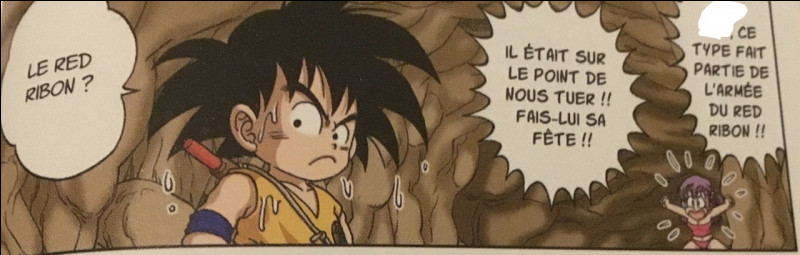 Quel est le surnom que donna Bulma à Goku ?(J'aurais dû poser cette question dans le tome 1)