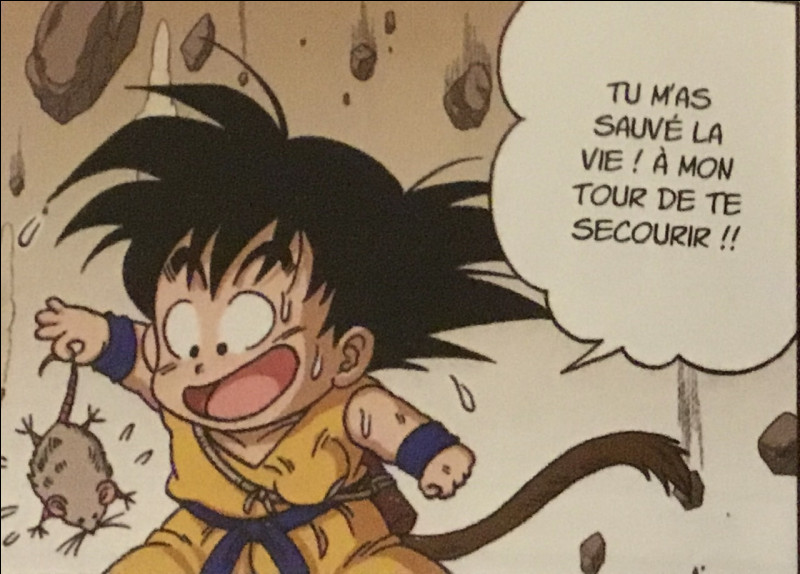 Comment Goku a-t-il eu la maladie du cœur dans DBZ ?