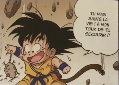 Comment Goku a-t-il eu la maladie du cur dans DBZ ?