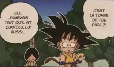 Peut-on ressusciter quelqu'un grâce aux Dragon Balls ?