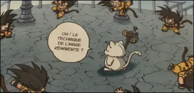 Pendant combien de temps, Goku est-il resté dans la tour Karine ?