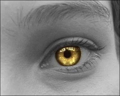 Maintenant, niveau couleur des yeux, laquelle préférez-vous ?