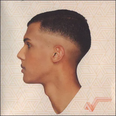 Qui est l'auteur-compositeur-interprète, belge de l'album ''Racine carrée'' ?