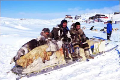 Quels sont ces peuples autochtones vivant dans les régions arctiques d'Amérique du Nord ?