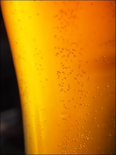 D'où vient le nom «cervoise», désignant la bière sans houblon produite dans l'Antiquité ?