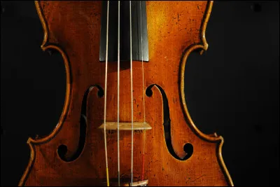 Mais d'où provenaient donc ces bois si particuliers dont étaient fait les fameux violons ?