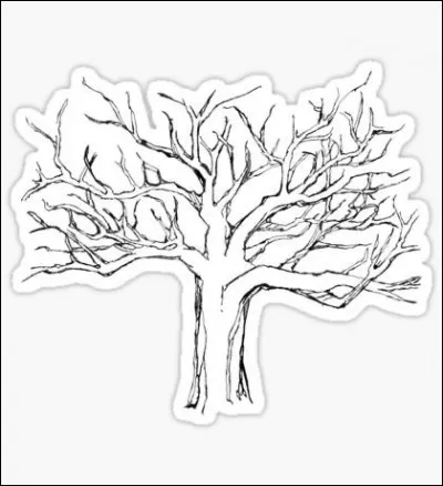 Où les parents de Scott, Allison et Stiles ont-ils été enfermés ?