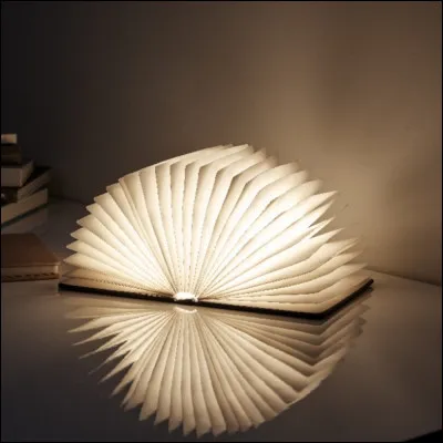 Et, pour finir, ce livre aussi adapté en bande-dessinée a été écrit par un auteur anglais. Le sujet principal est : les sorcières.