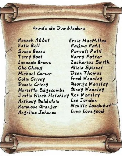 Tu décides quand même d'essayer. Finalement, on t'explique qu'Harry Potter en est le chef.