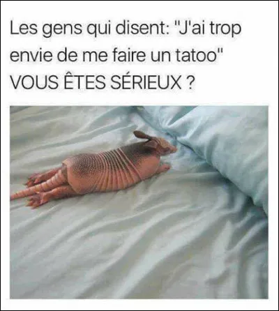 Vous trouverez ce poisson, chez votre poissonnier, sous le nom de saumonette, son véritable nom étant jugé peu vendeur !