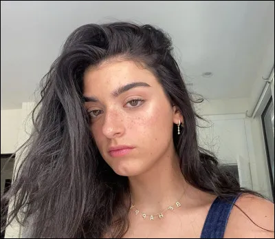 Comment s'appelle la sur connue de Dixie ?