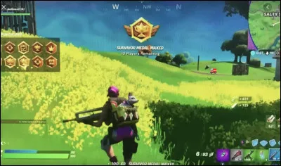 Le célèbre jeu vidéo "Fortnite", un jeu que j'aime bien et que vois-je ? Un moyen de transport qui ne se trouve pas dans le jeu s'est faufilé sur l'image. Quel est ce moyen de transport ?