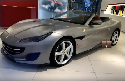 J'ai décidé de changer de voiture, pour faire plaisir à mon fils qui n'arrêtait pas de se plaindre qu'il avait honte que je l'amène au collège en camionnette, mais bon, tiens, un autre client a oublié cette chose près de la voiture, mais qu'est-ce que cette chose ?