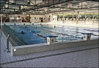 J'adore nager, c'est pour cette raison que je vais souvent à la piscine, et je déteste les gens qui ne respectent pas une piscine, tiens par exemple, un type a garé son machin dans la piscine n'est-ce pas honteux ! Quel est ce machin ?