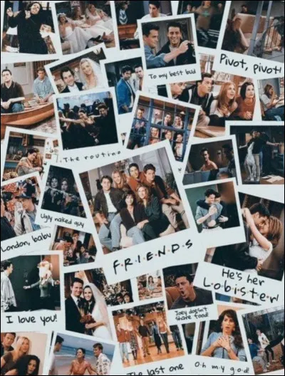 Quel m&eacute;tier faisait la fille avec qui Ross &agrave; "tromp&eacute;" de Rachel ?