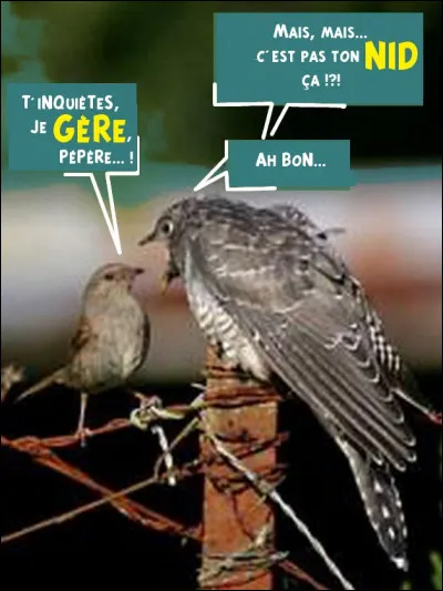 ...et nous retrouvons nos deux comparses, toujours dans un dialogue de sourd (mais qui ne sera pas perdu pour les aveugles...)