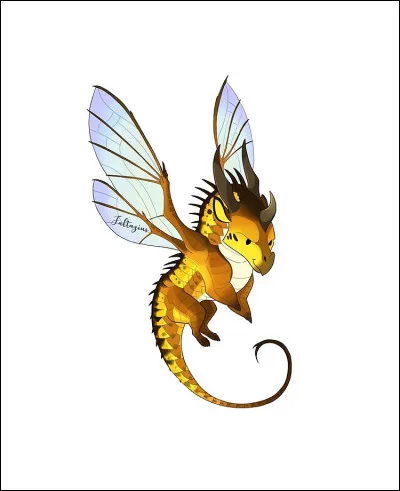 Comment s'appellent les dragonnets de l'équipaille de Jade ?