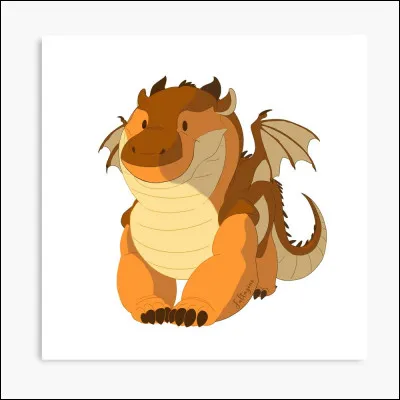 Comment s'appellent les dragonnets du destin ?