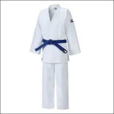 Dans quel sport utilise-t-on cette tenue ?