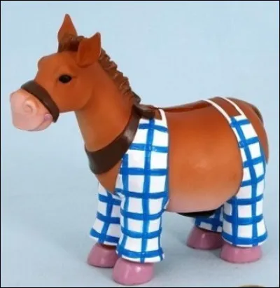 Sur quelle île de la côte atlantique trouve-t-on des ânes en culotte ?