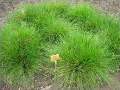 Allez-vous réussir à la nommer ?