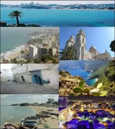 Là-bas, vous aurez la chance de visiter le musée d'Hippone.