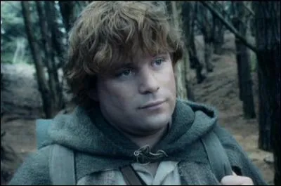 Qui est cet hobbit ?