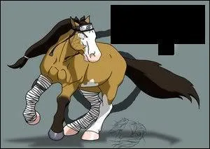 Il fait partie de la Bunke (branche secondaire du clan des Hyga), son sensei s'appelle Ga Maito :