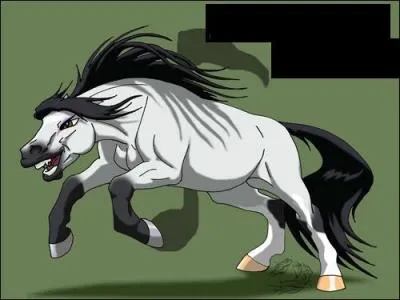 Il faisait partie des trois sannin lgendaires, il fut un membre de l'Akatsuki :