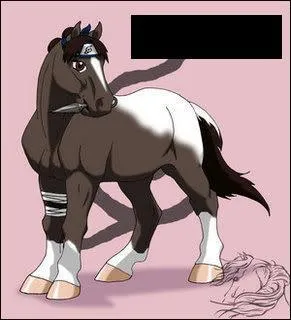 Elle utilise les armes pour se battre, son sensei est Ga Maito :